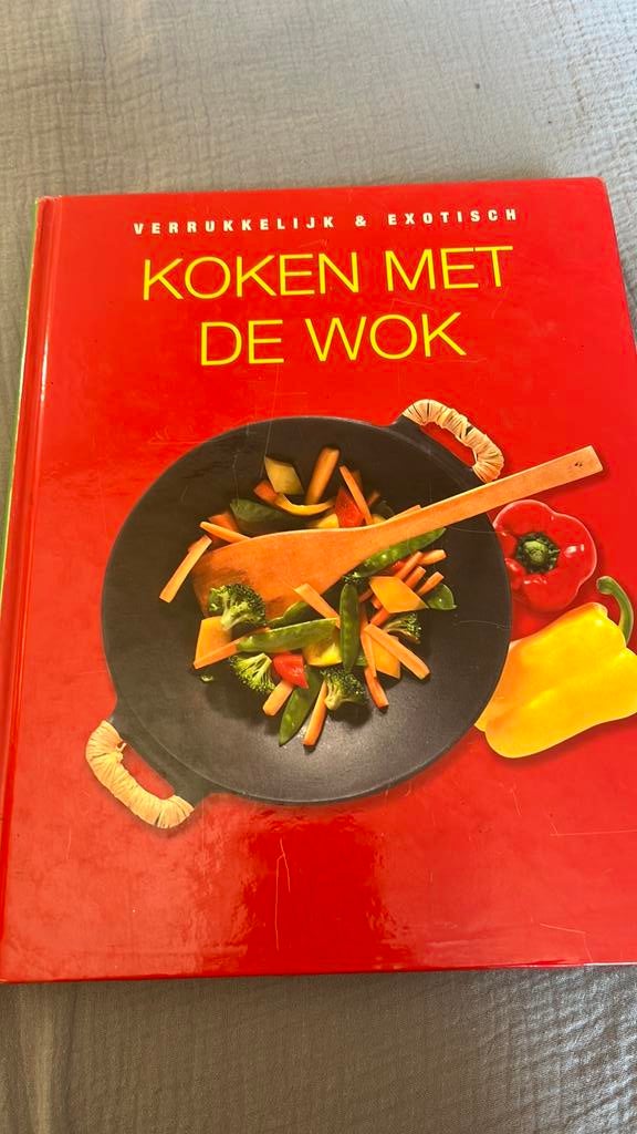 Kookboek Koken met de wok, Ophalen of Verzenden, Zo goed als nieuw