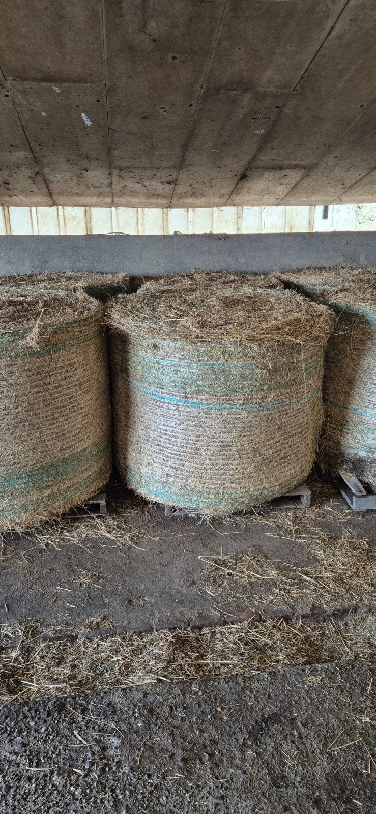 dringend verkoop. 6 balen hooi diameter 150, Enlèvement