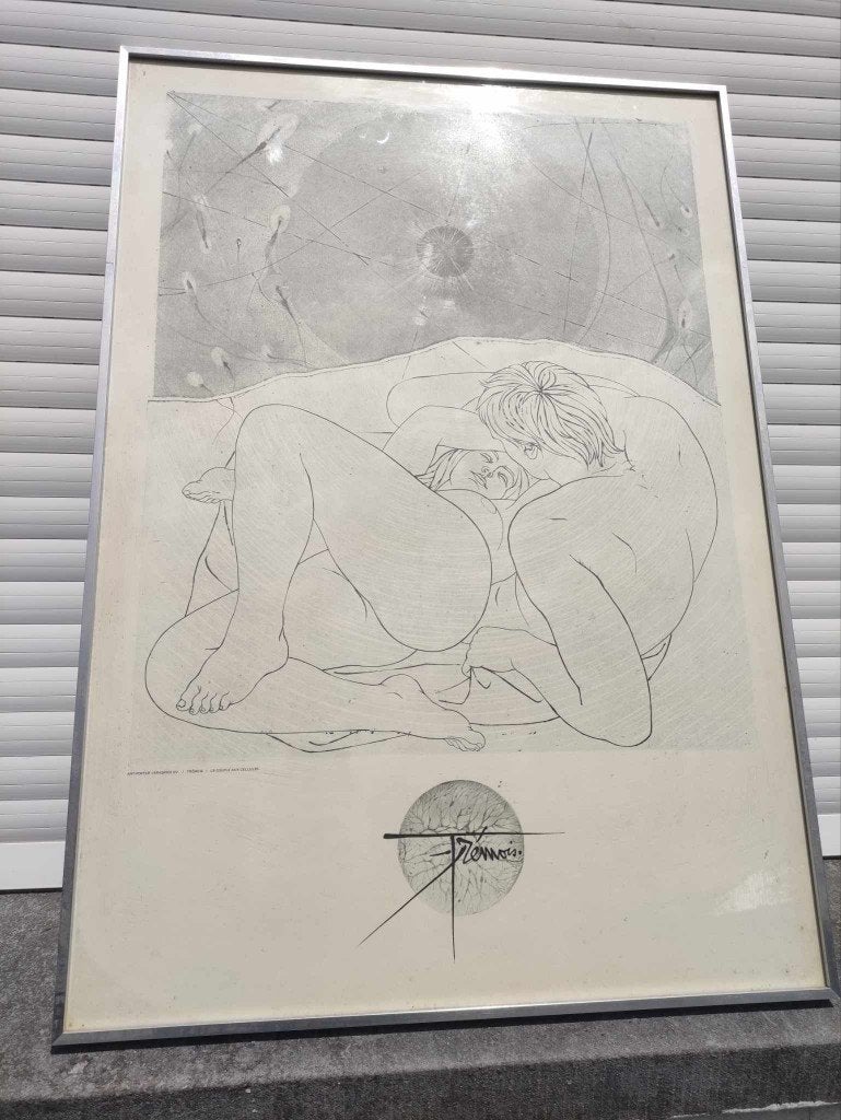 lithograhie signe pierre yves tremois, Enlèvement