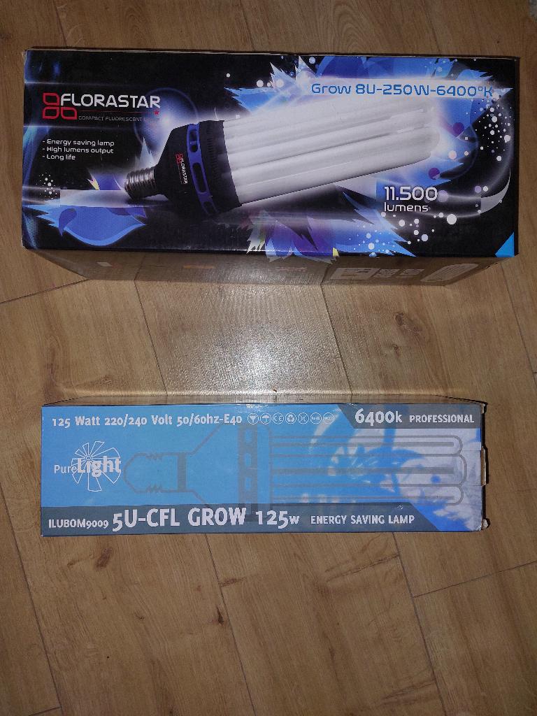 CFL Florastar groei en bloei lamp - Voor planten - Nieuw, Huis en Inrichting, Kamerplanten, Ophalen of Verzenden, Overige soorten