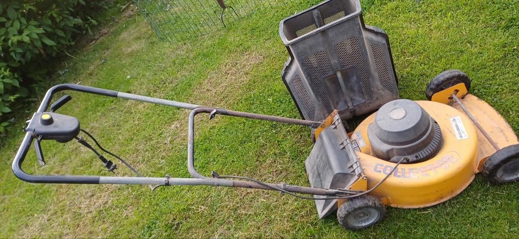 Elektrische grasmaaier, Enlèvement, Tondeuses à gazon électriques