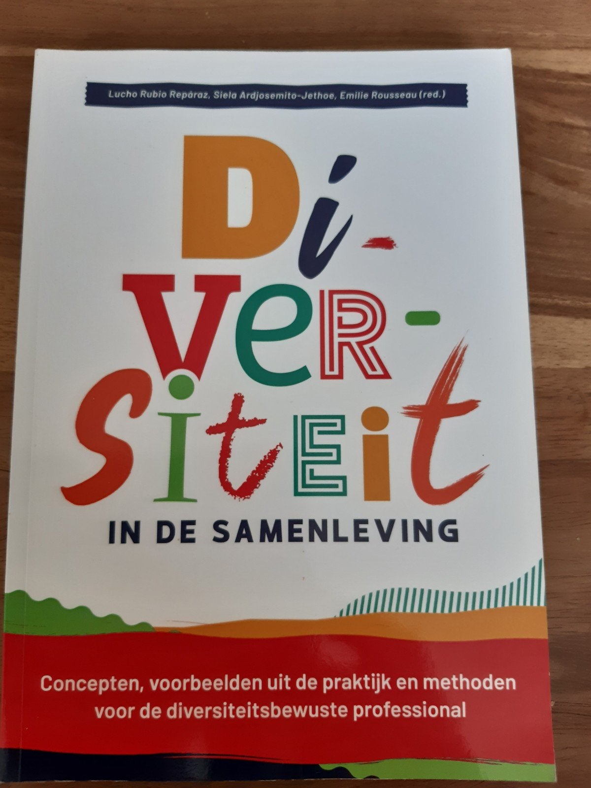 Diversiteit in de samenleving, Boeken, Ophalen of Verzenden