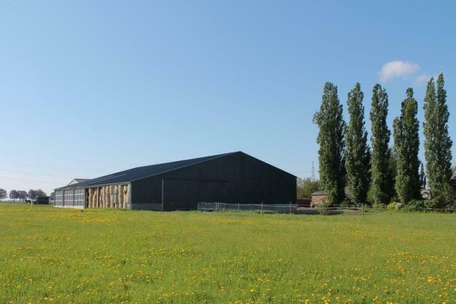 Pension complète pour 2 hongres à Ligny (Sombreffe), Animaux & Accessoires, Mise à l'étable, 2 ou 3 chevaux ou poneys