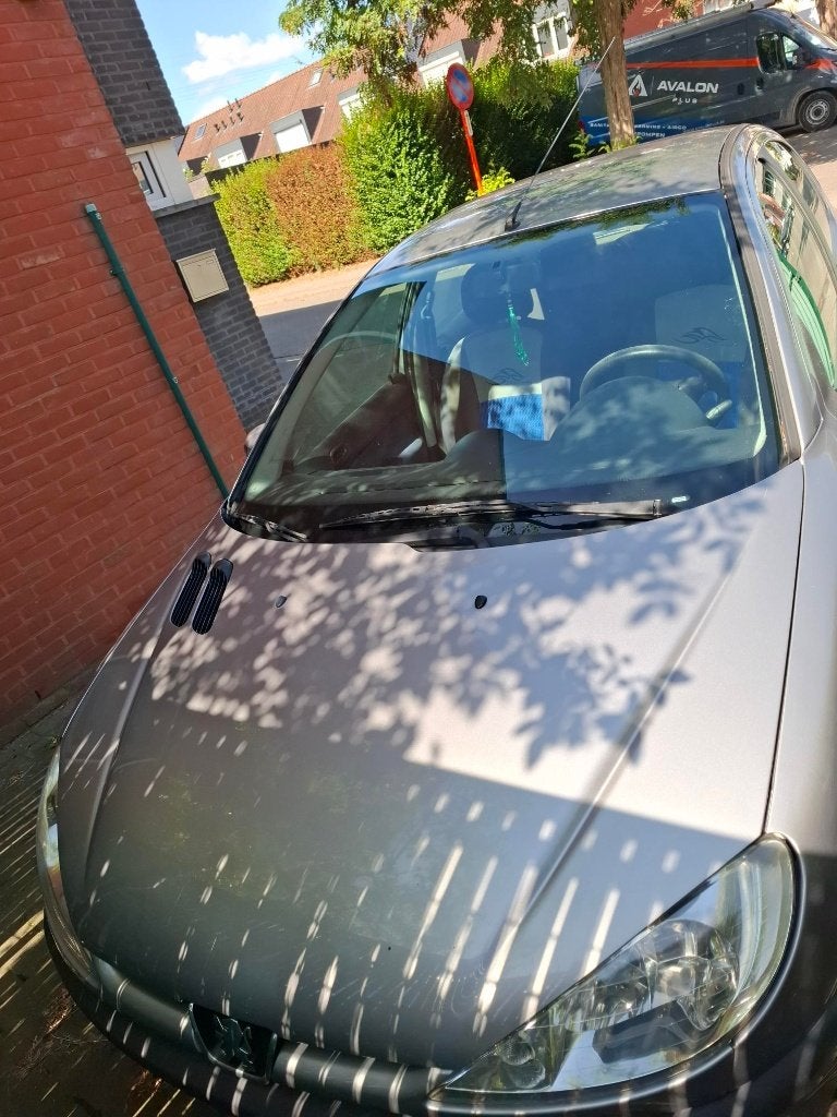 Peugeot 206, Autos, Peugeot, Argent ou Gris, Achat, Boîte manuelle, Bleu