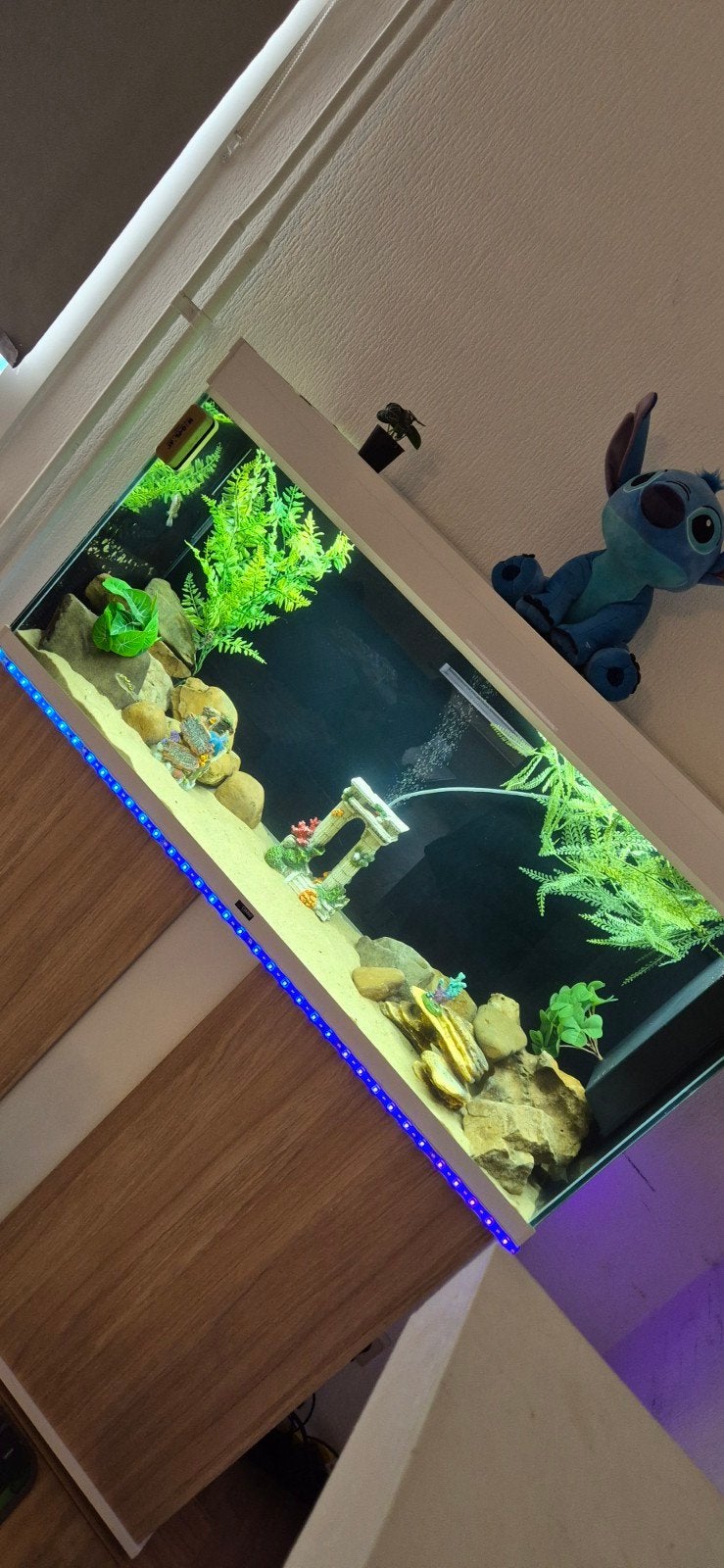 aquarium 250 liter met kast en alle benodigdheden, Poisson d'eau douce