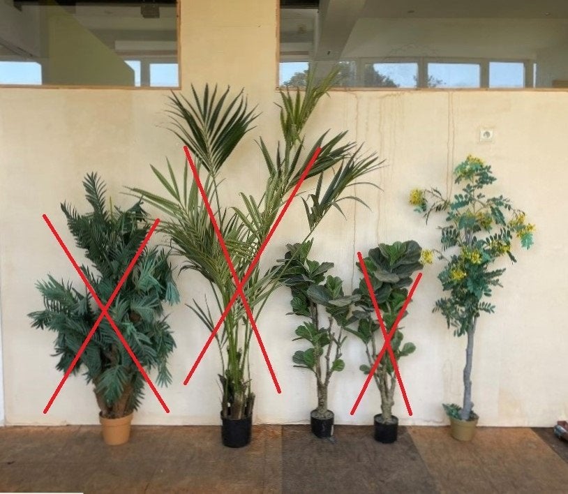 Plantes artificielles àpd 5€  @ OXFAM Solidarité, Vert, Intérieur, Plante artificielle, Enlèvement