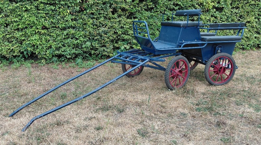 "De Laat" enkelspan recreatiekoets/marathon 4-6 personen, Gebruikt, Marathonwagen, Paard