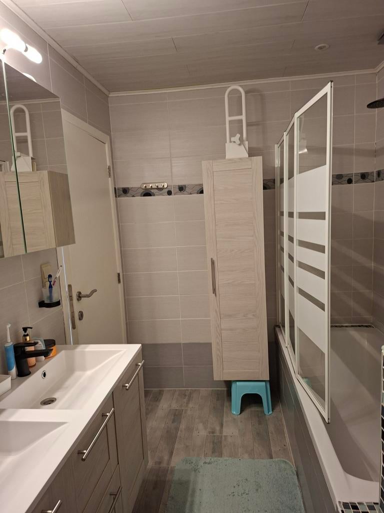 Lavabo,hangkast en spiegelkast, Ophalen