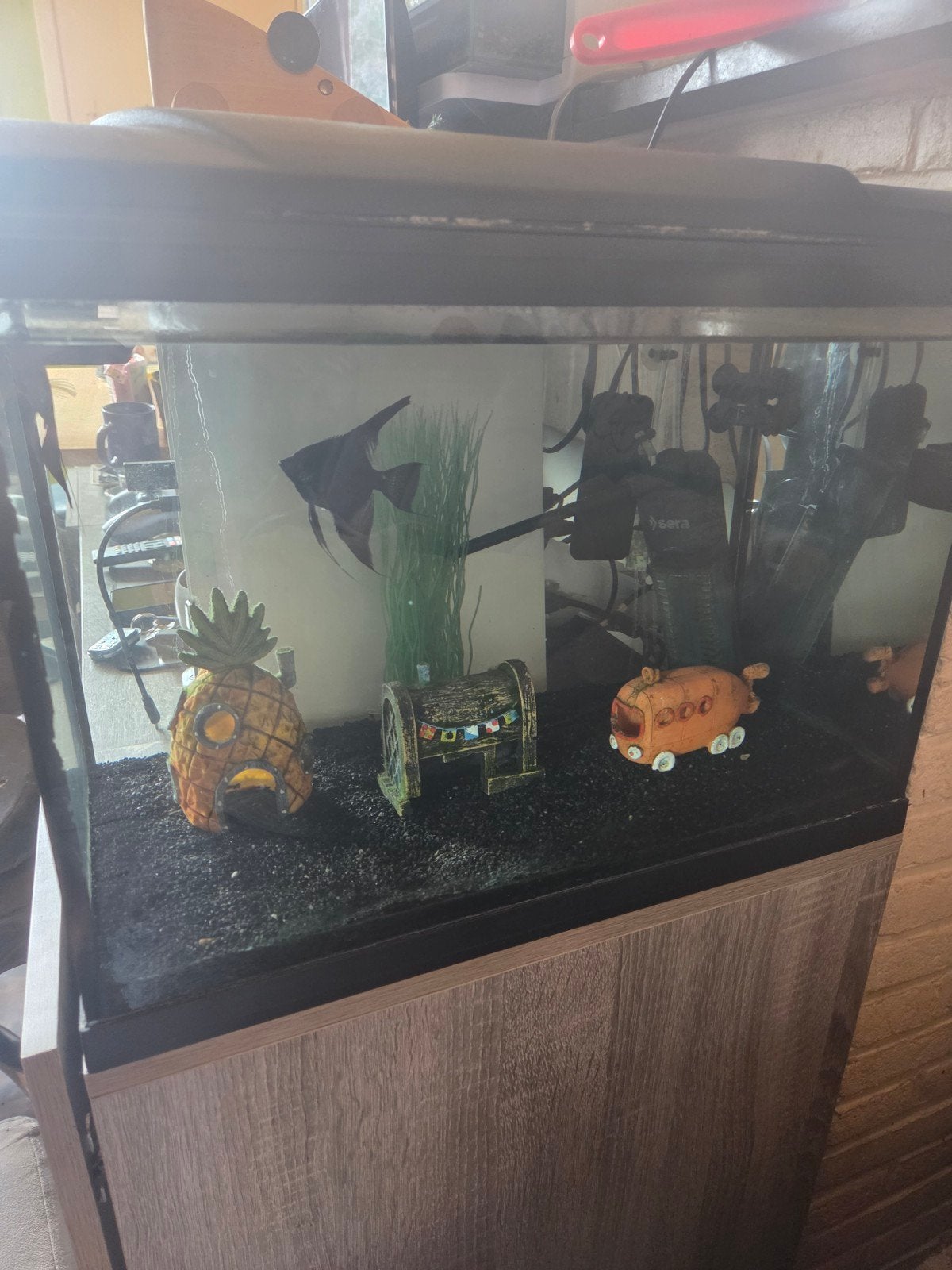 Aquarium, Ophalen, Decoratie, Gebruikt, HS Aqua