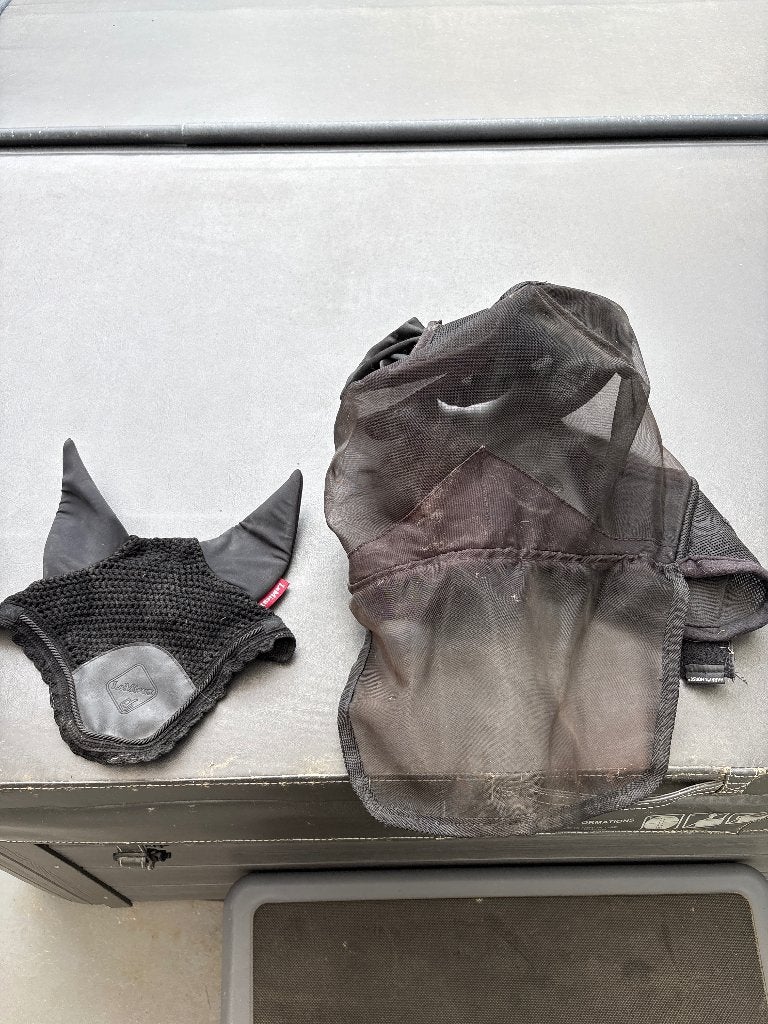 Kapjes paard, Animaux & Accessoires, Chevaux & Poneys | Brides & Harnachement, Enlèvement, Utilisé, Autres espèces