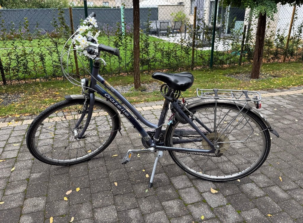 Meisjesfiets, 26 pouces ou plus, Frein à main, Enlèvement, Utilisé