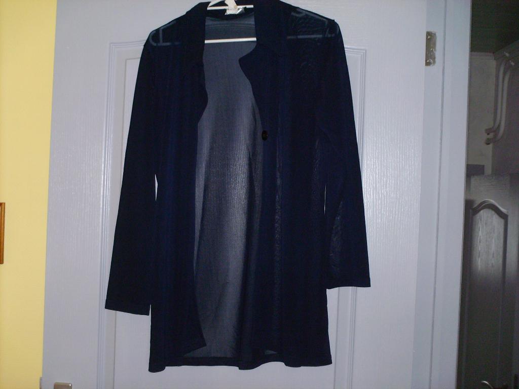 a vendre pull gilet pour dame, Kleding | Dames, Truien en Vesten, Ophalen of Verzenden, Gedragen, Blauw