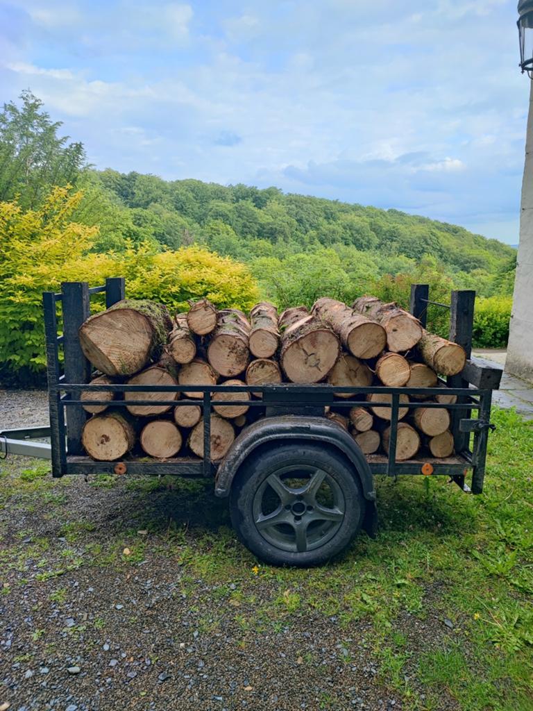 Épicéa frais, Bricolage & Construction, Bois & Planches, Épicéa