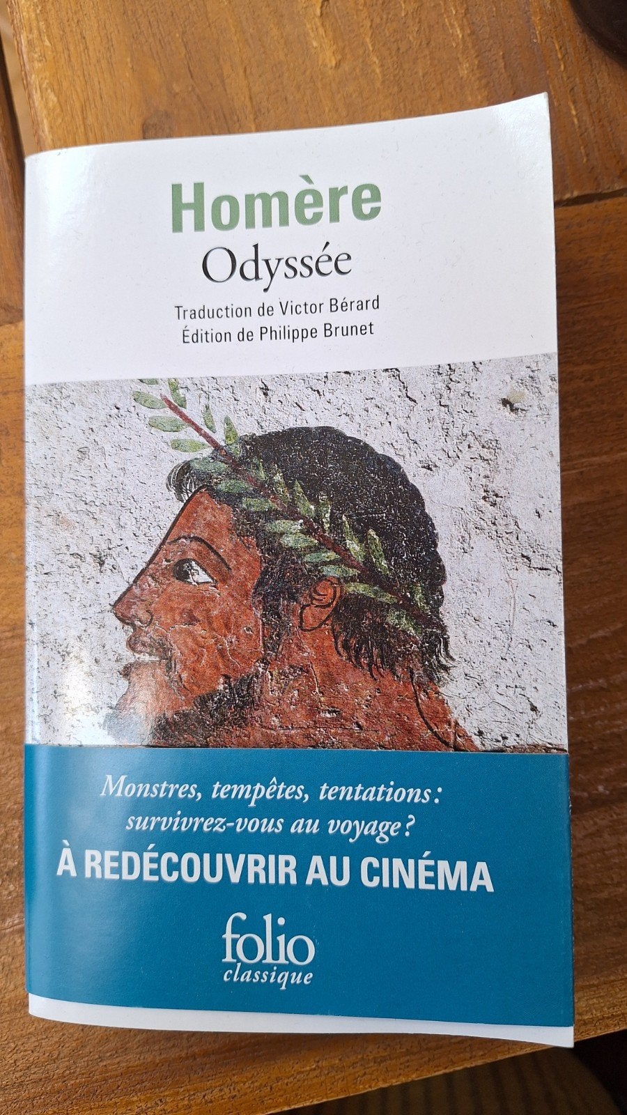 Homère - Odyssee, Ophalen of Verzenden, Homère