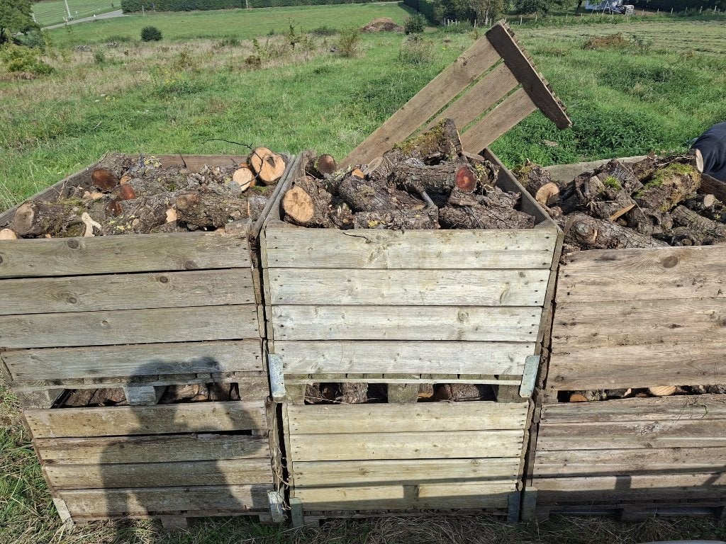 Brandhout , kachelhout , stookhout, 3 tot 6 m³, Ophalen, Overige houtsoorten, Blokken