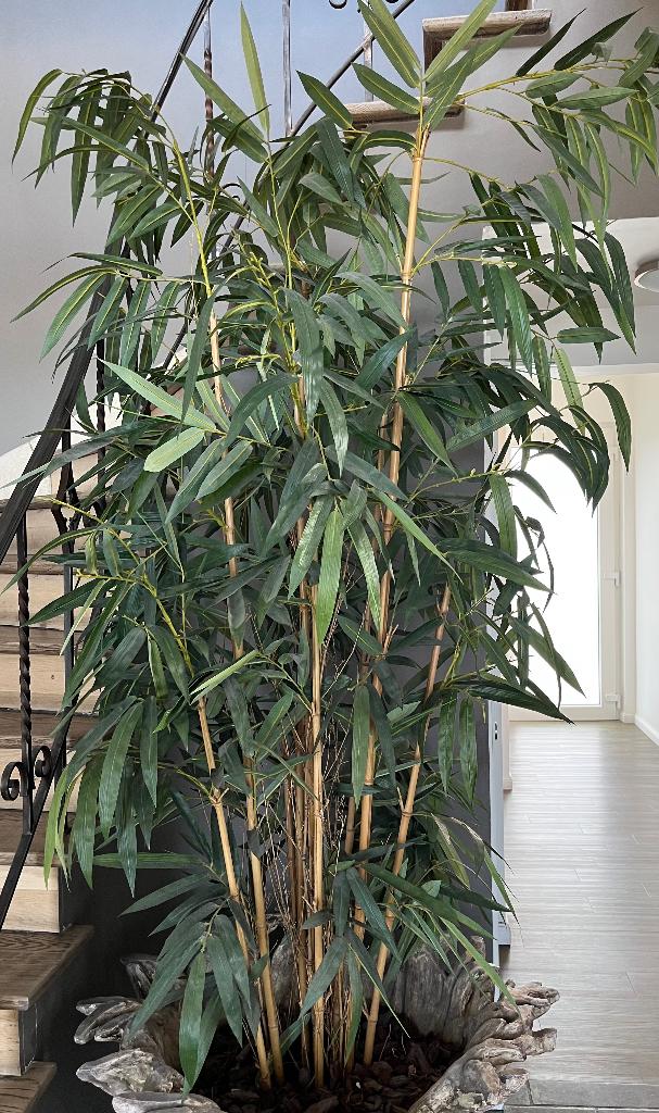Plante Bambou artificiel, Jardin & Terrasse, Enlèvement, Plante fixe