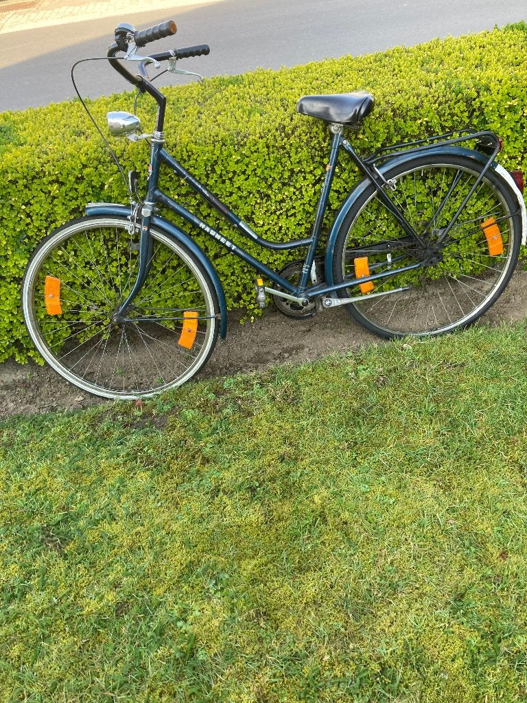 vélo pour femme/vélo pour mamie avec roues, Vélos & Vélomoteurs, Moins de 47 cm, Enlèvement, Utilisé