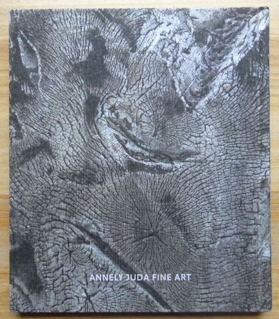 David Nash, Wood, Metal and Pigment, 2018 Annely Juda Gal., Boeken, Ophalen of Verzenden, Zo goed als nieuw, Beeldhouwkunst