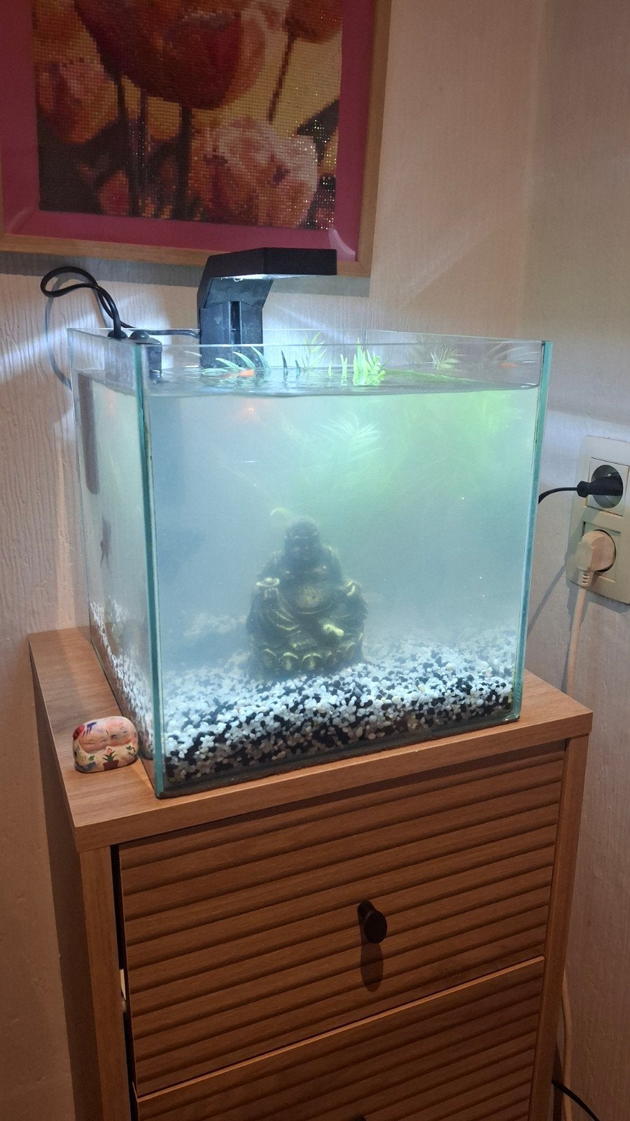 aquarium 14l, Animaux & Accessoires, Enlèvement, Pompe