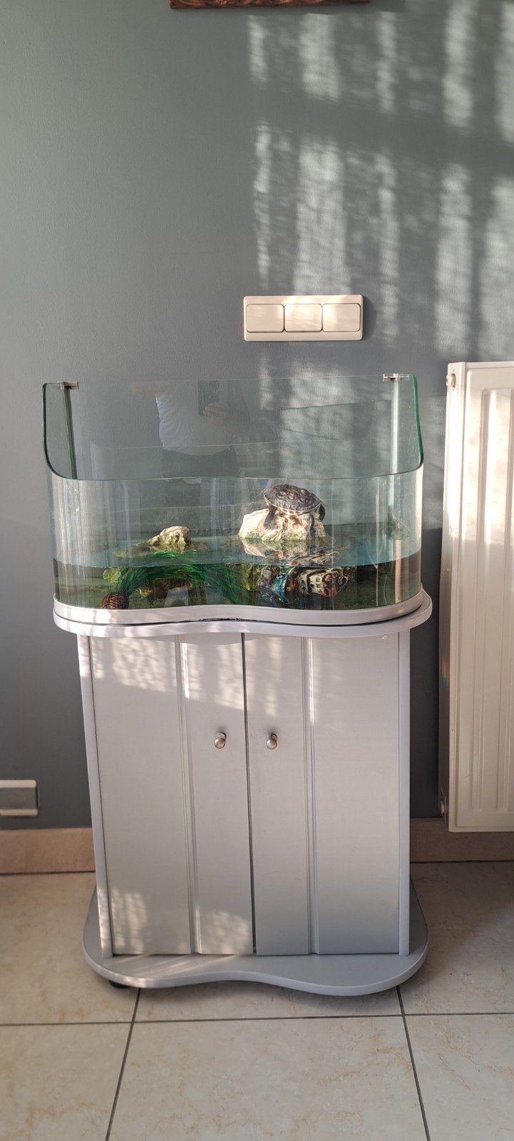 Aquarium met Waterschildpad – Alles Inclusief, Dieren en Toebehoren, Ophalen, Decoratie