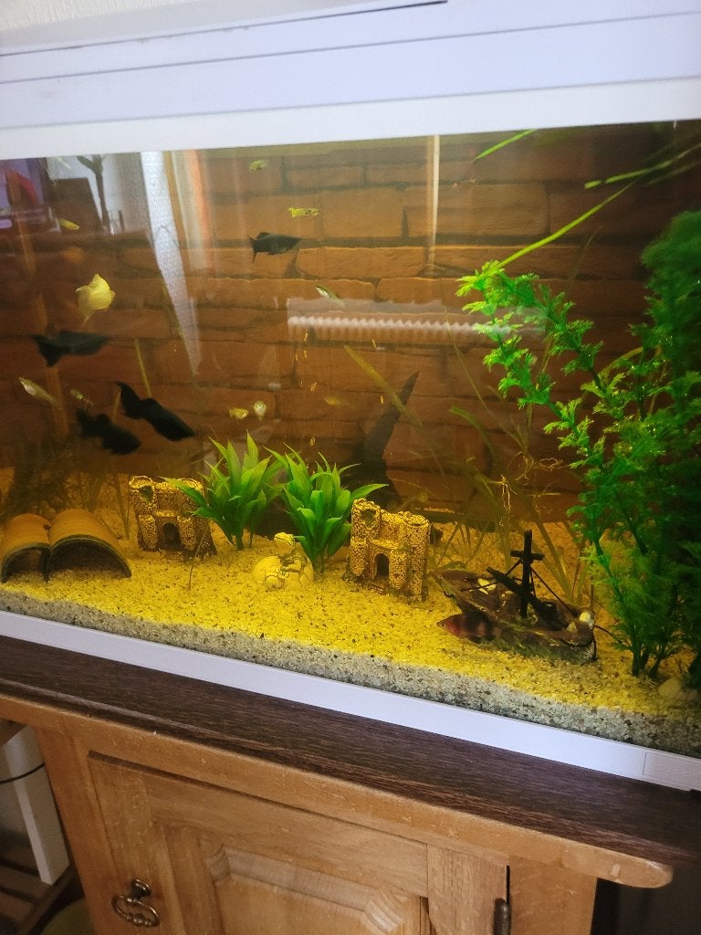 a vendre aquarium de 90 litre complet équipé lire svp, Aquarium d'eau douce rempli, Comme neuf, Enlèvement, Couvercle inclus