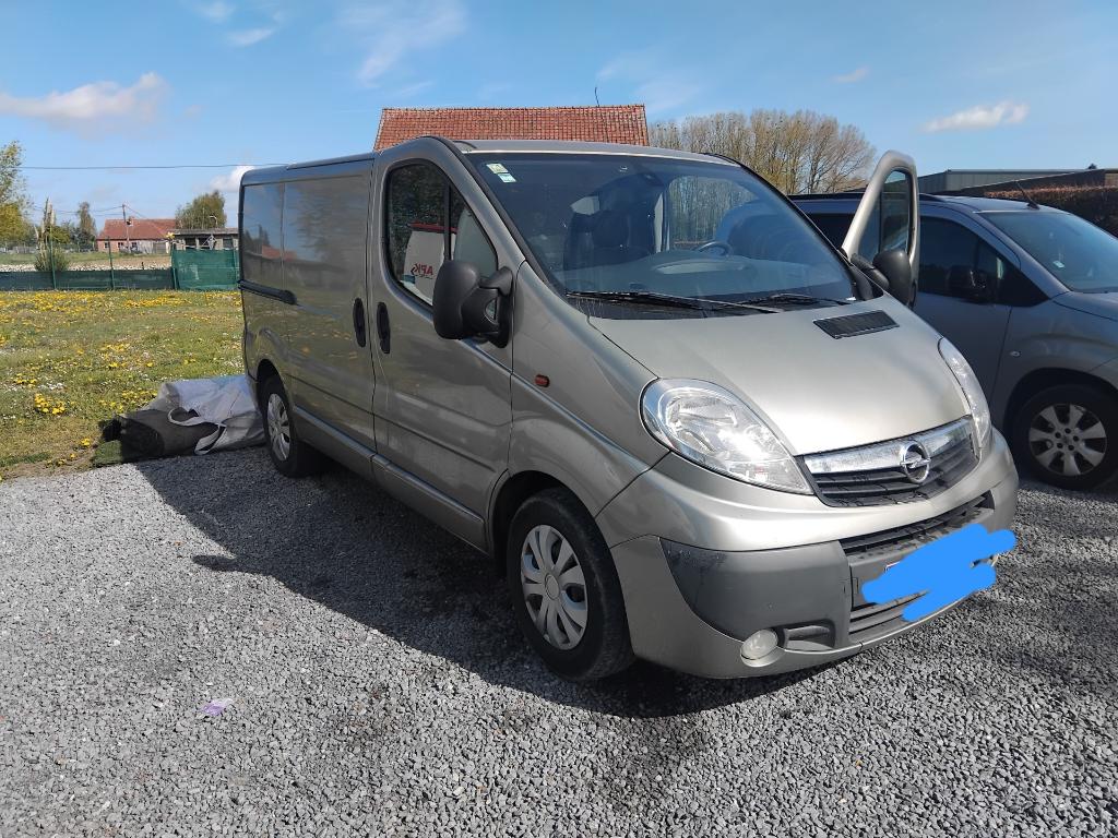 OPEL VIVARO 2.5 TDCI, Stof, Beige, Particulier, 107 kW