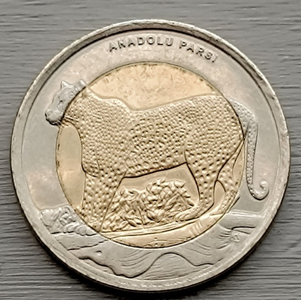 munt Turkije 1 lira 2012 : Anatolische Luipaard, Ophalen of Verzenden