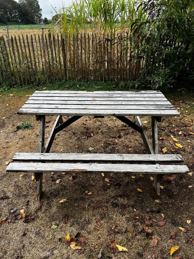 Banc de pique-nique, Jardin & Terrasse, Tables de pique-nique, Enlèvement, Utilisé, Rectangulaire, Bois