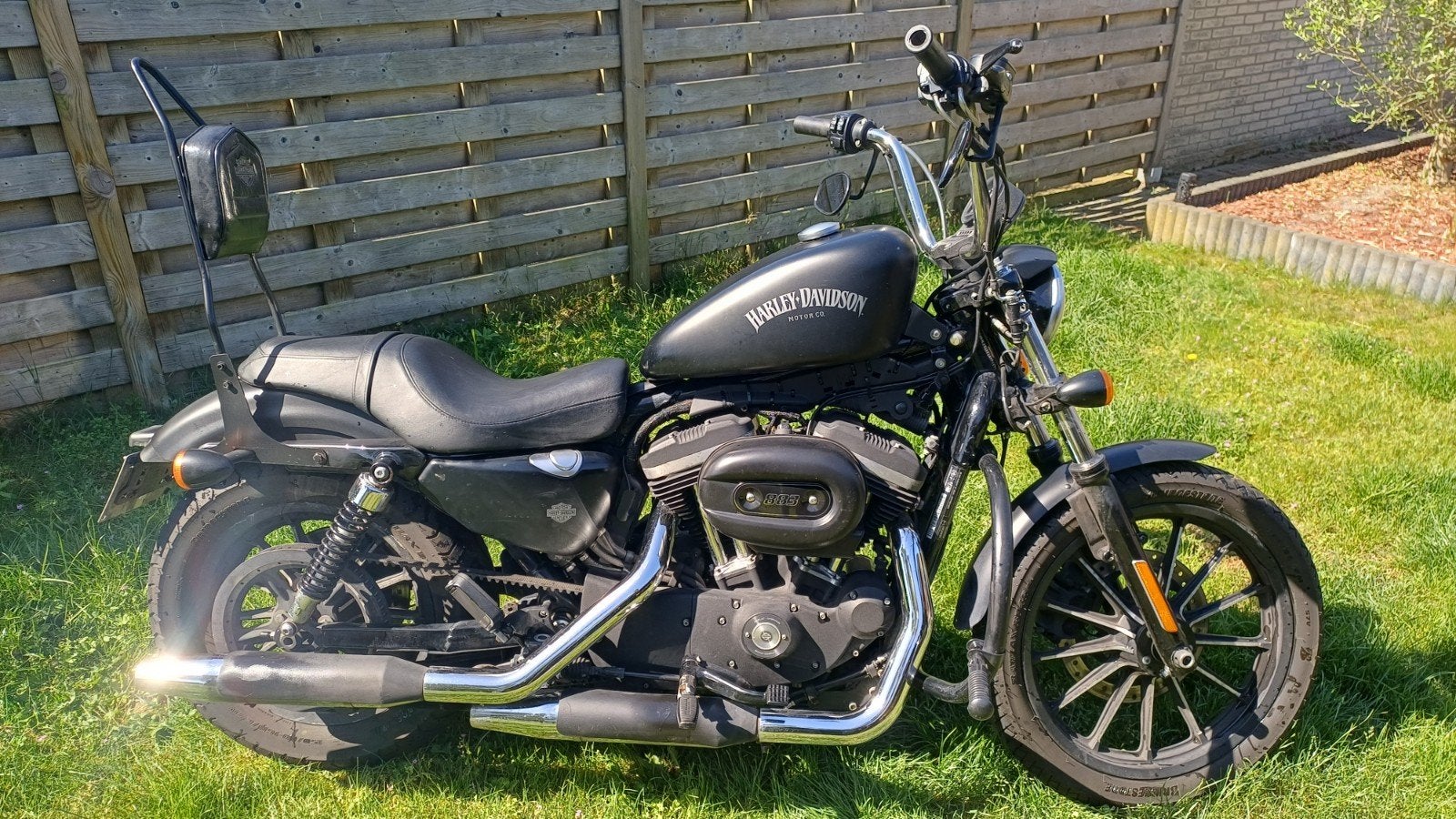 Sportster iron 883 2014, Motos, Permis Moto A, Occasion, Plus de 35 kW, Particulier
