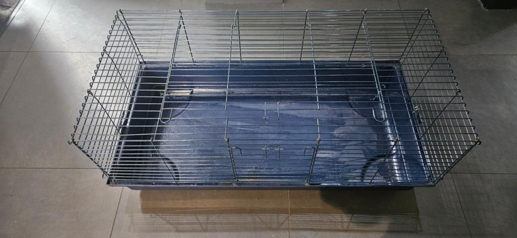 Cage xxl lapin cochon d'inde, Enlèvement, Utilisé, 75 à 110 cm, Moins de 65 cm