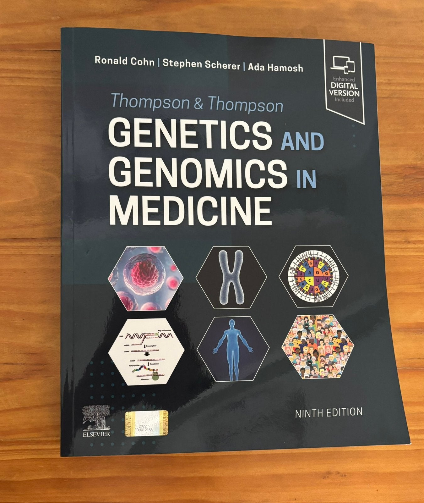 Thompson & Thompson Genetics and Genomics in Medicine, Boeken, Ophalen of Verzenden, Beta, Zo goed als nieuw, Hoger Onderwijs