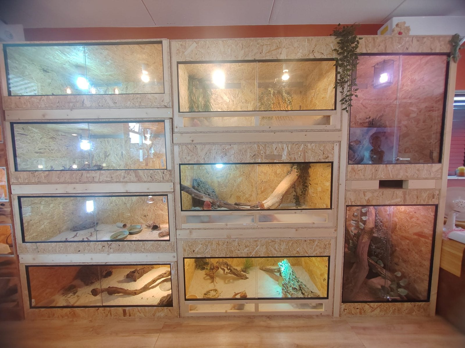 Terrariums OSB sur mesure, selon vos besoins !, Enlèvement, Neuf, Terrarium ou Paludarium