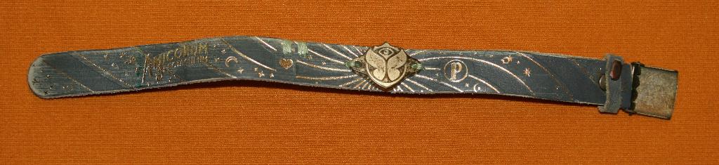 Tomorrowland 2017 Amicorum Spectaculum brecelet, Ophalen of Verzenden, Gebruikt