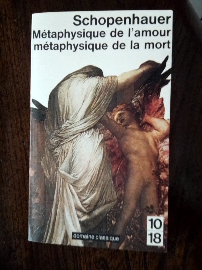 Livres de Schopenhauer et Roumajon, Boeken, Filosofie, Ophalen of Verzenden, Zo goed als nieuw, Schopenhauer et Roumajon