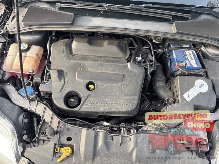 Motor van een Ford Focus, Gebruikt, -, -, Ophalen of Verzenden