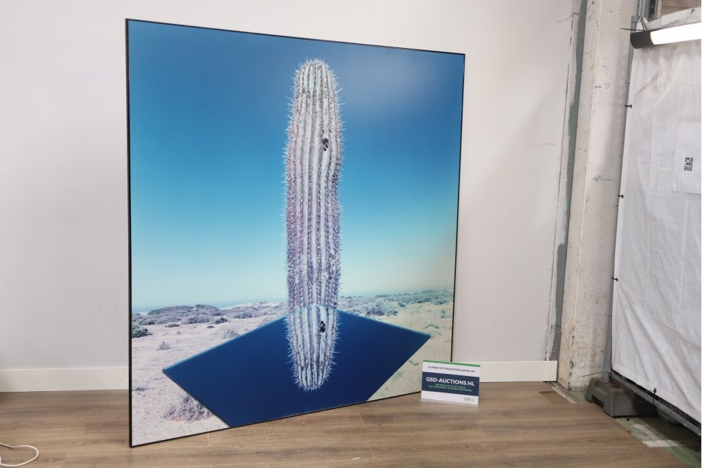 Groot moderne Kunstdruk met cactus, Antiek en Kunst