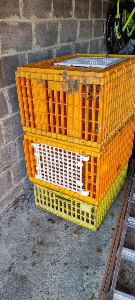 3 Caisses de transport poules, poulets,...