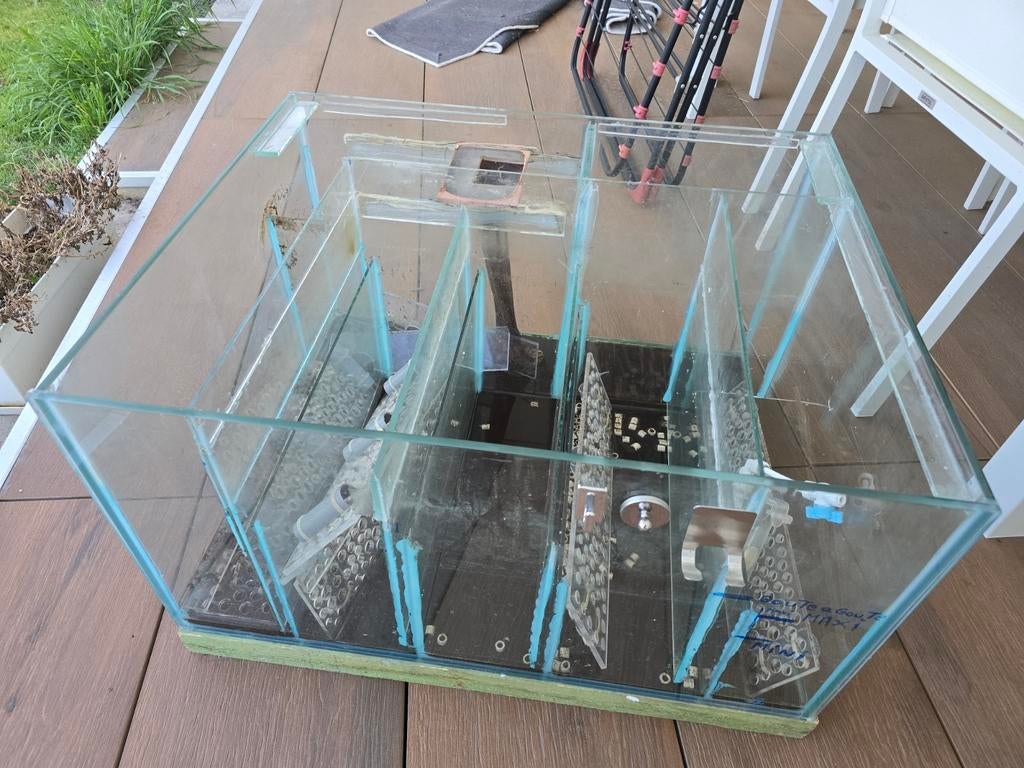 Aquarium, Enlèvement