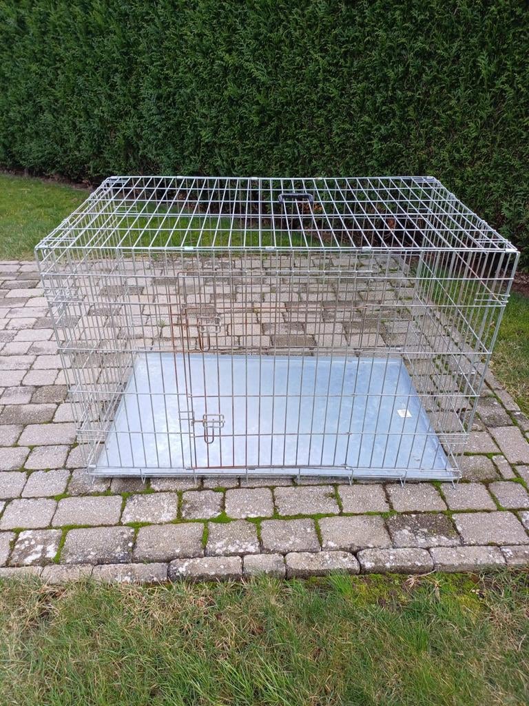 Hondenbench, Enlèvement