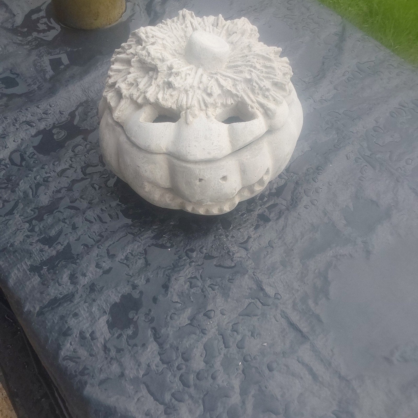 mooie grote  stenen pompoen, Enlèvement