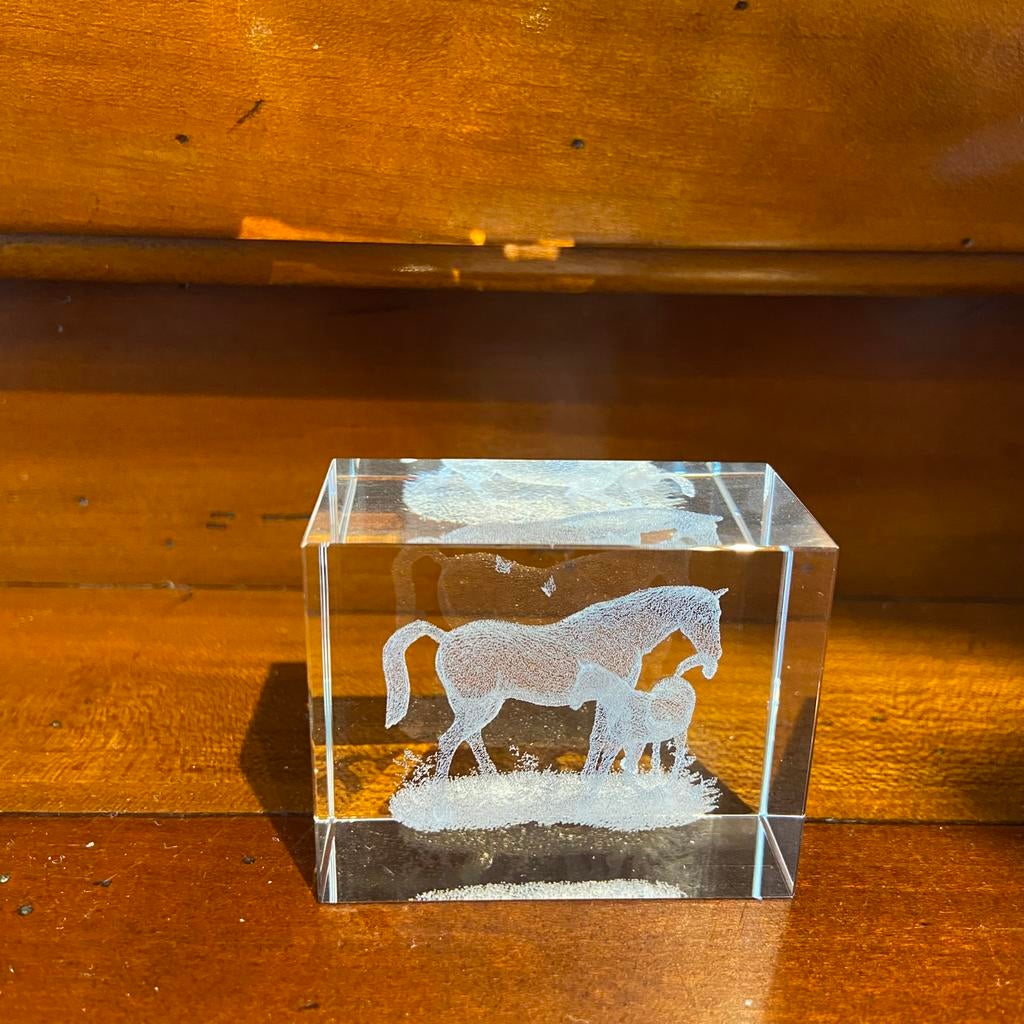 Prachtig paard met veulen, Ophalen, Zo goed als nieuw
