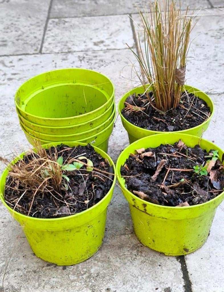 Frisgroene bloempotjes alles samen 2€, Tuin en Terras, Ophalen