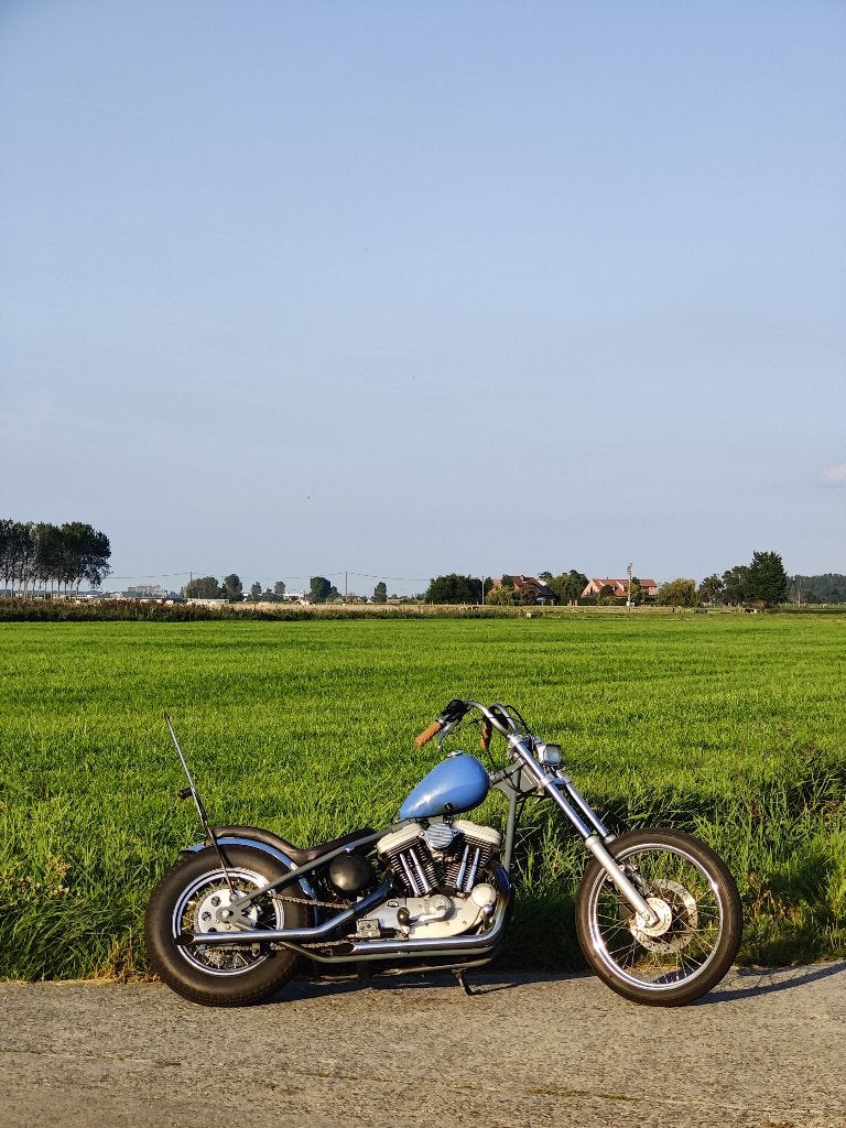 Chopper Harley Davidson Sportster 1200, Motos, Occasion, Chopper, 2 cylindres, Particulier