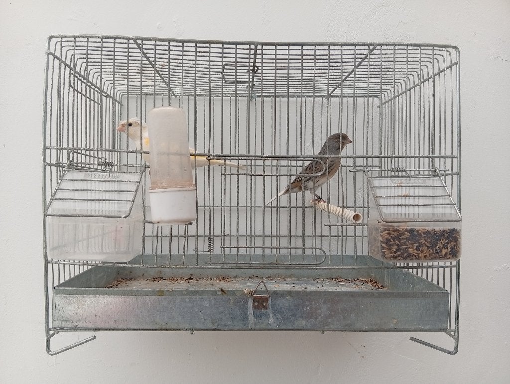 Cage oiseaux, Enlèvement, Comme neuf, Métal, Cage d'élevage