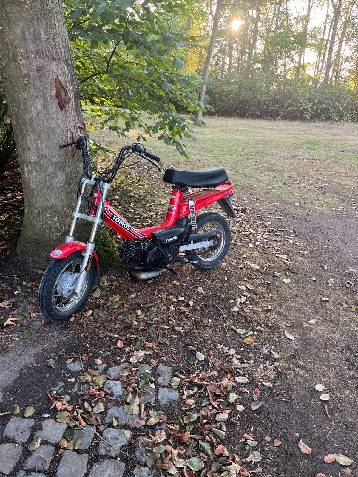 Tomos flexser, Fietsen en Brommers, Brommers | Tomos, Gebruikt, Ophalen of Verzenden, Klasse B (45 km/u), 50 cc