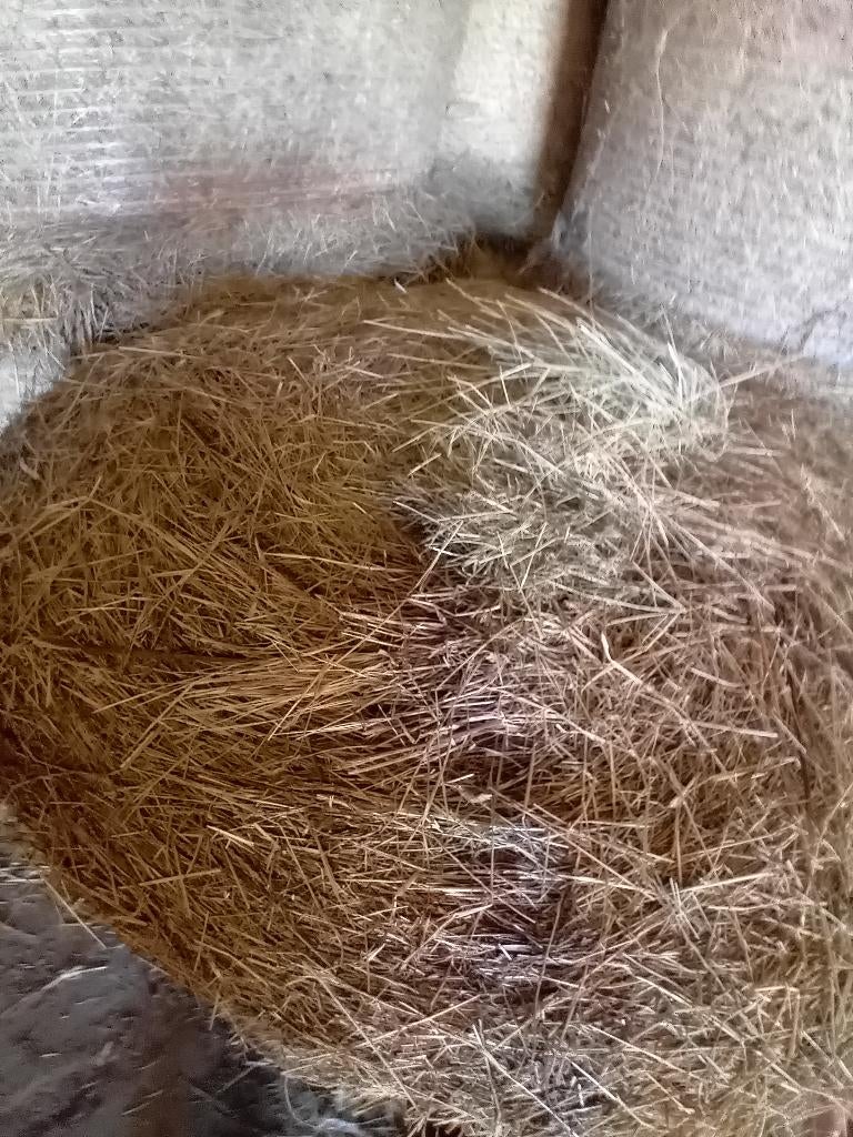 Bollen hooi, Ophalen, Zo goed als nieuw