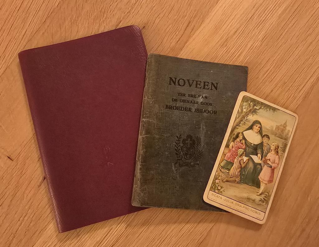 Misboekje en noveen Broeder Isidoor, Verzamelen, Religie, Ophalen of Verzenden, Gebruikt, Boek, Christendom | Katholiek