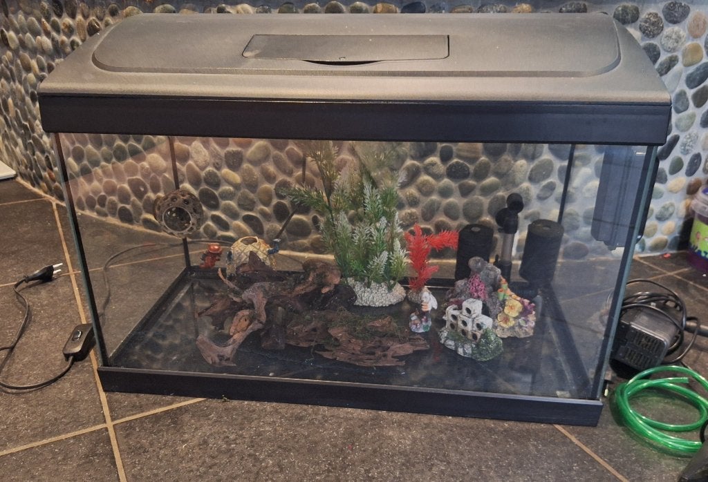 60l aquarium met gratis accessoires, Enlèvement, Decoratie