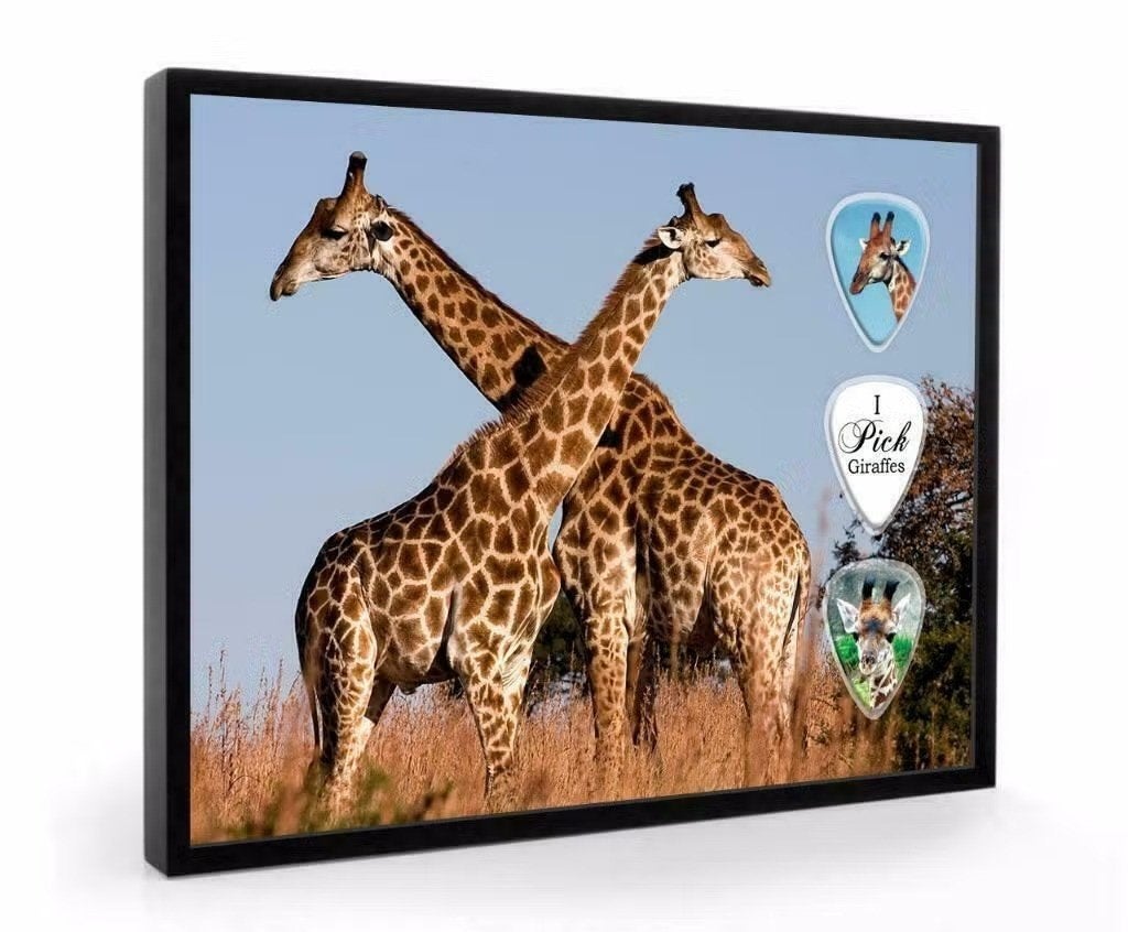 Giraffe plectrumdisplay, Verzamelen, Ophalen of Verzenden, Nieuw