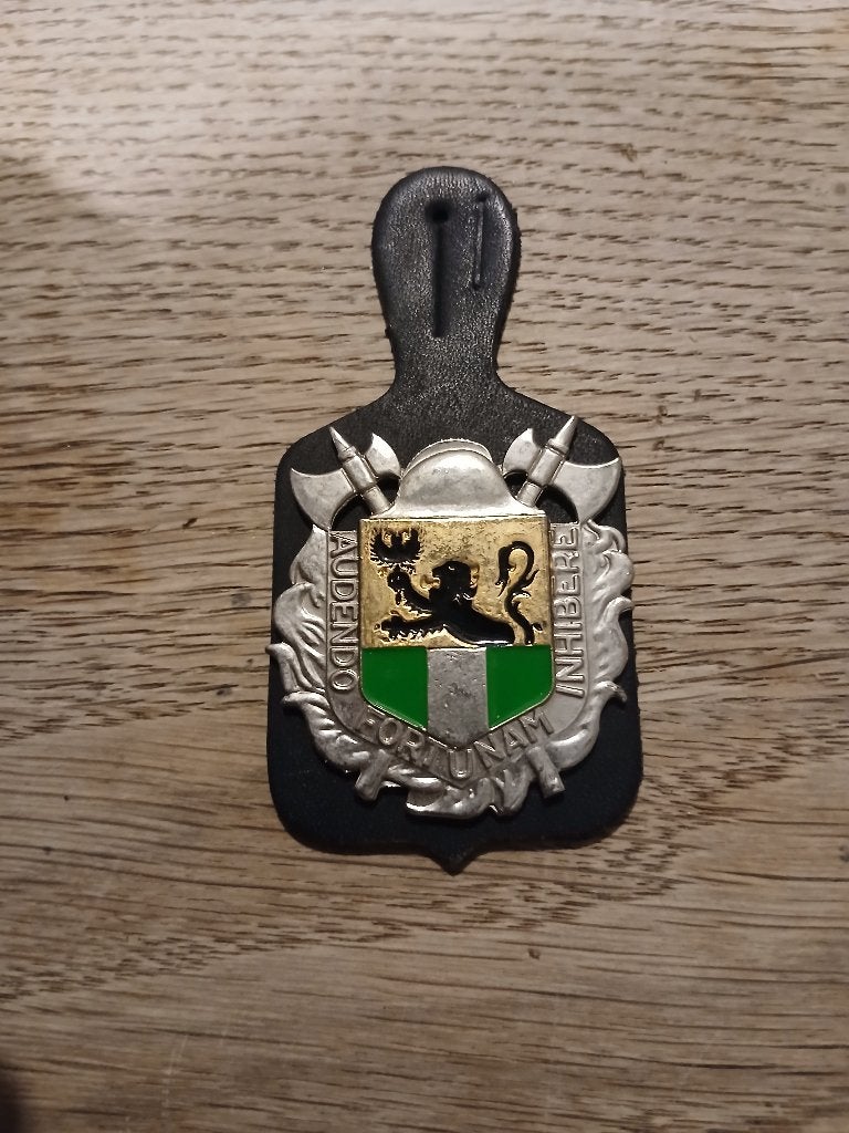 Breloque sapeurs-pompiers Zelzate, Envoi, Autres, Emblème ou Badge